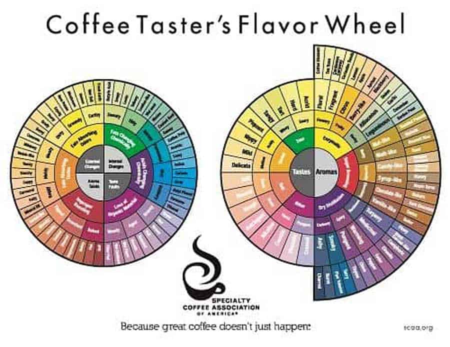 Coffee Taster's Flavor Wheel